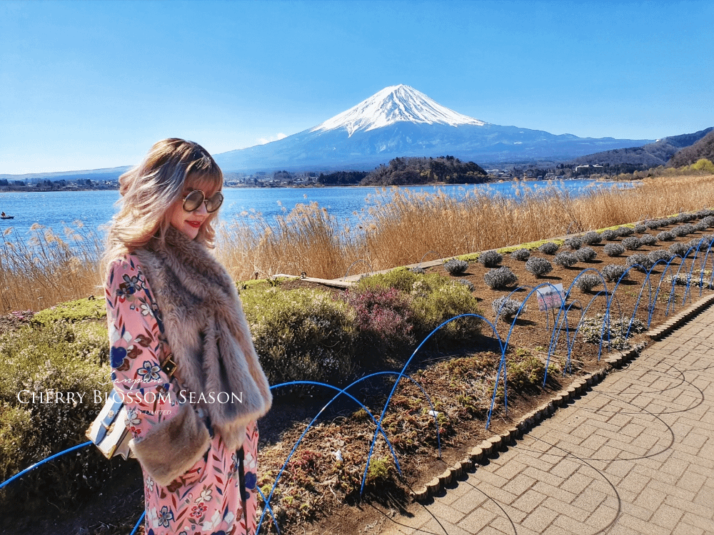 #孕期全記事 | My First Pregnancy Jo