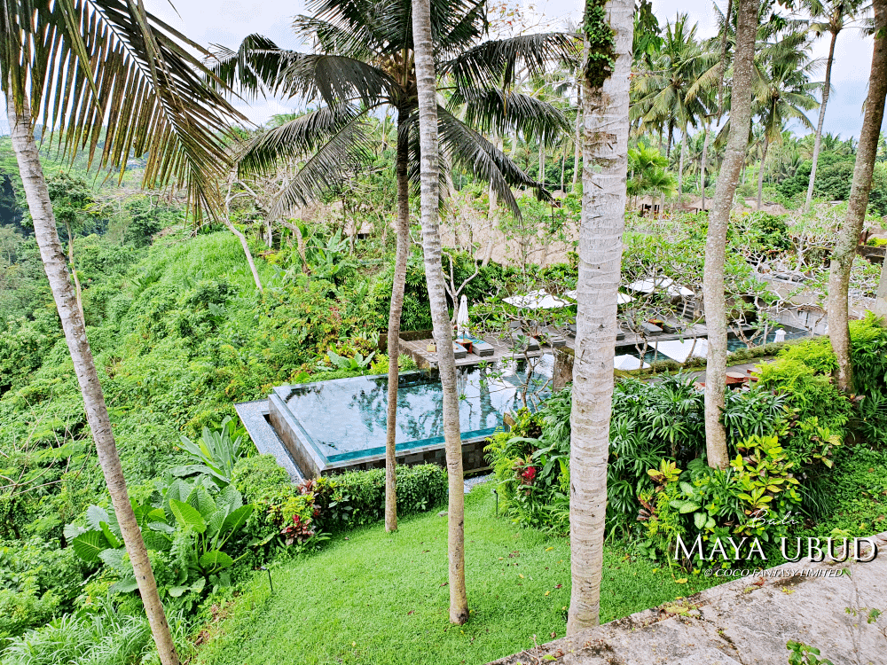 峇里島 | 烏布 | Maya ubud Resort&amp;Sp