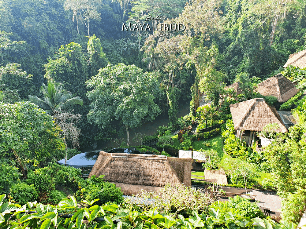 峇里島 | 烏布 | Maya ubud Resort&amp;Sp