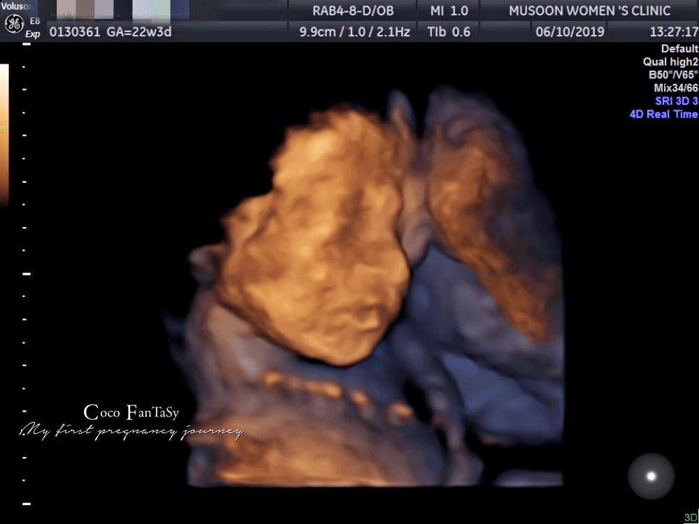 #孕期全記事 | My First Pregnancy Jo