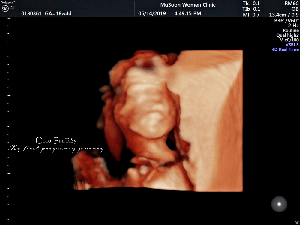 #孕期全記事 | My First Pregnancy Jo