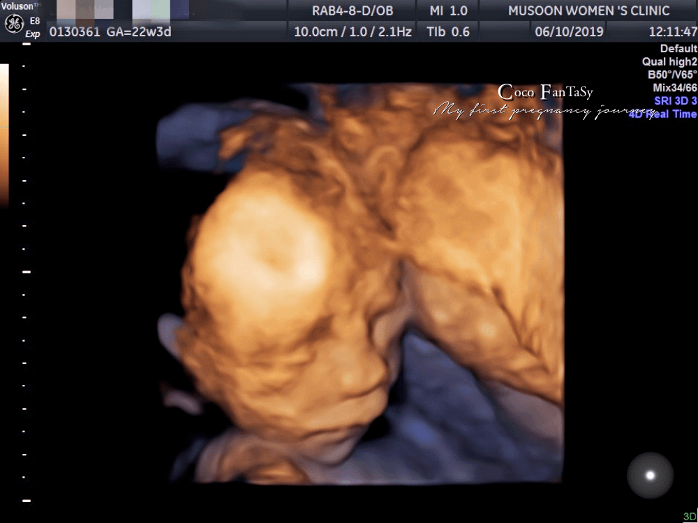 #孕期全記事 | My First Pregnancy Jo