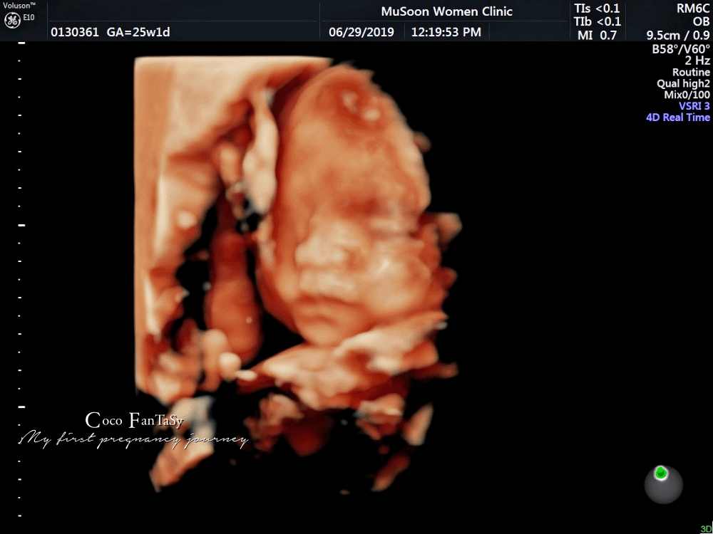 #孕期全記事 | My First Pregnancy Jo