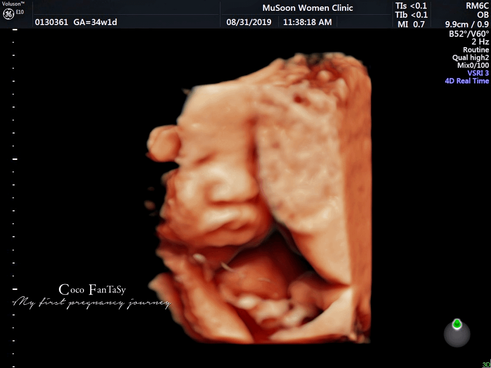 #孕期全記事 | My First Pregnancy Jo