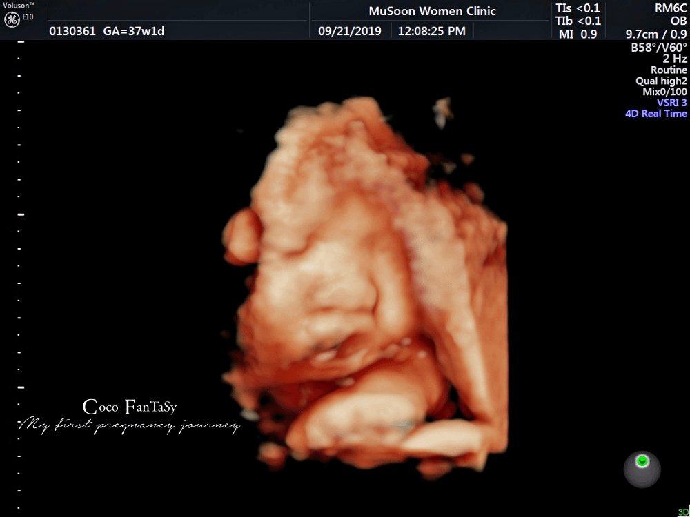 #孕期全記事 | My First Pregnancy Jo