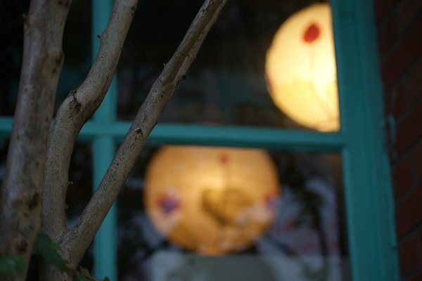 20090320_15.JPG