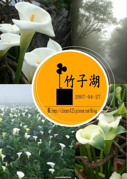 20070427_竹子湖r_pixnet.jpg
