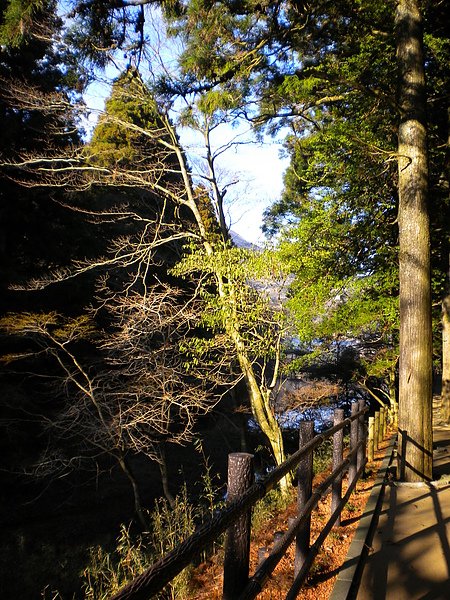 DSCN3049.JPG