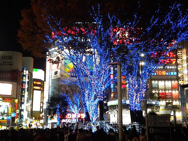DSCN2786.JPG