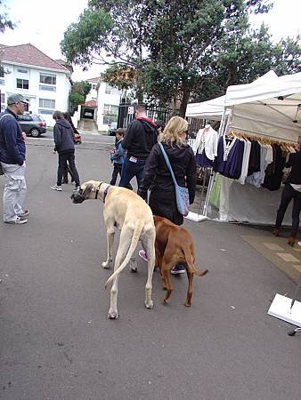 DSC00113.JPG