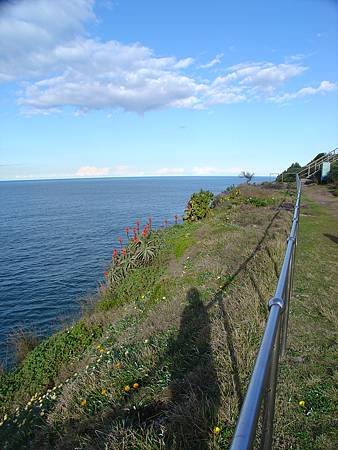 DSC00154.JPG