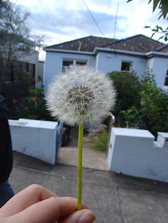 DSC00181.JPG