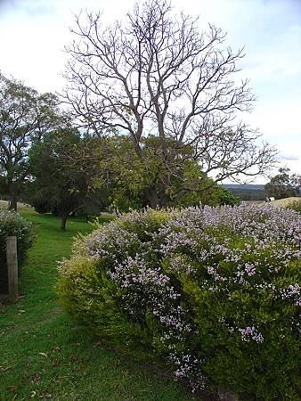 DSC00355.JPG