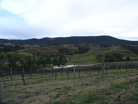 DSC00370.JPG
