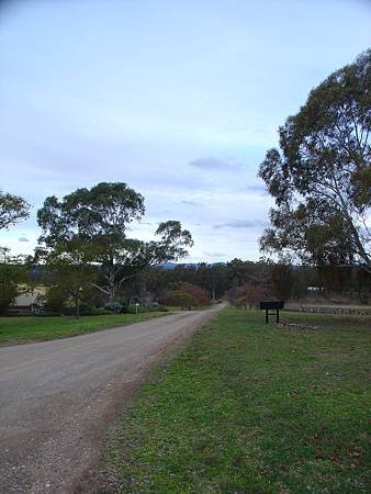 DSC00380.JPG