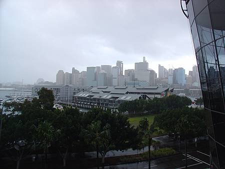 DSC00310.JPG