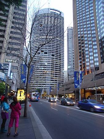 DSC00686.JPG