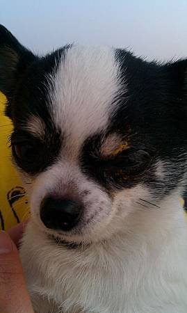 IMAG0125.jpg