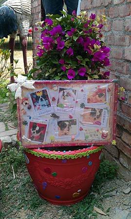 IMAG0148.jpg