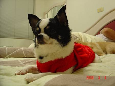 DSC00193.JPG