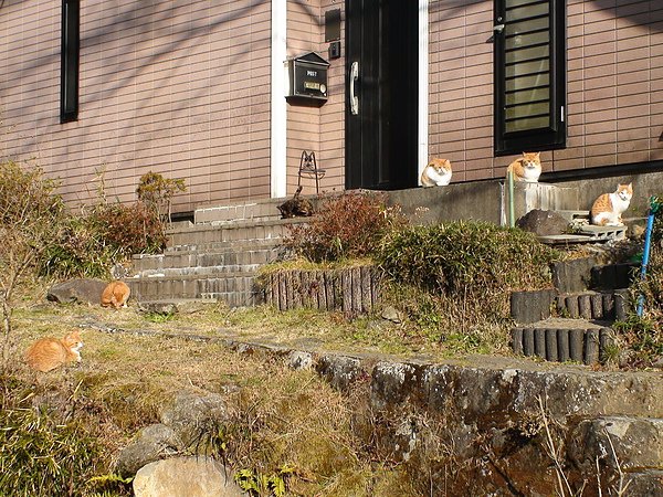 DSC02629.JPG