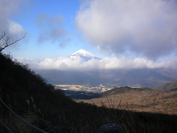 DSCN2905.JPG