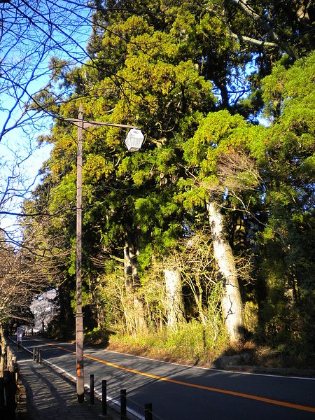 DSCN3052.JPG