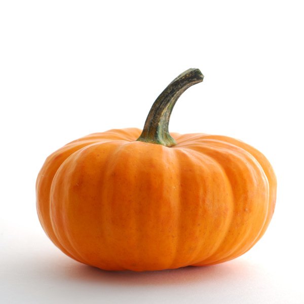 851pumpkin.jpg