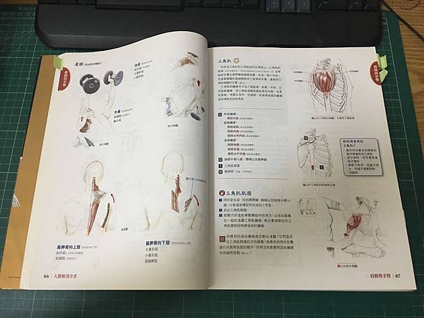 【健身相關】14本健身好書推薦 Part2(中5~8)