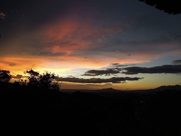 DSCN5124