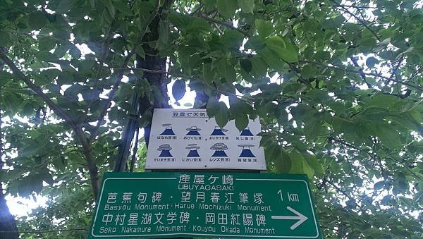 IMAG0650