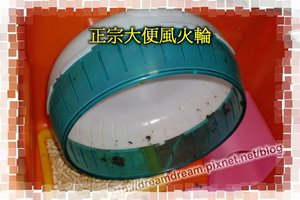 調整大小CIMG6029.jpg