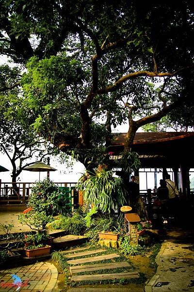 DPP_01025.JPG