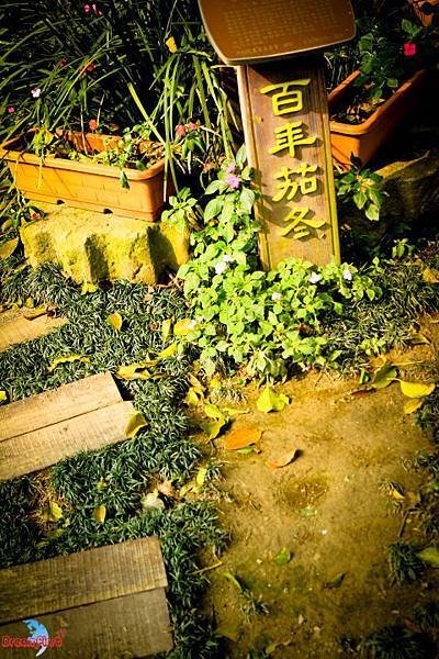 DPP_01026.JPG