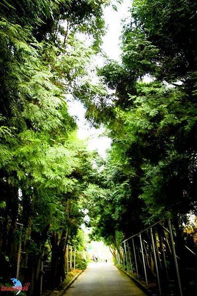 DPP_01096.JPG
