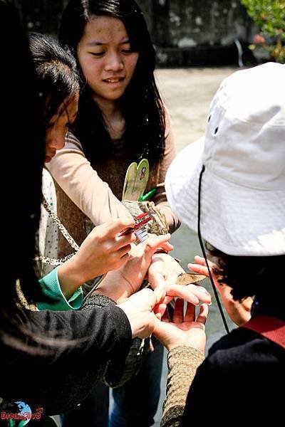 IMG_7766.jpg
