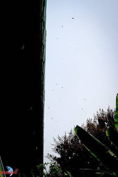 IMG_7656.jpg