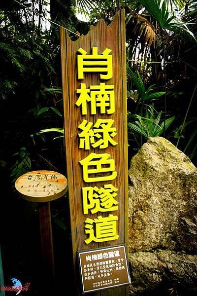 DPP_01097.JPG