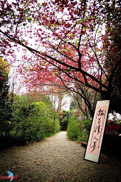 DPP_01064.JPG