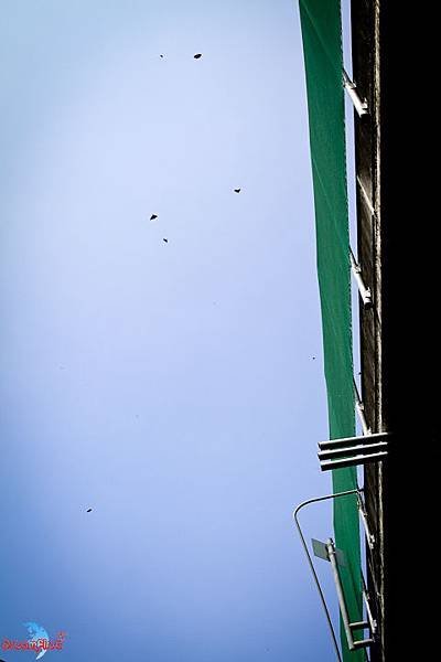 IMG_7648.jpg