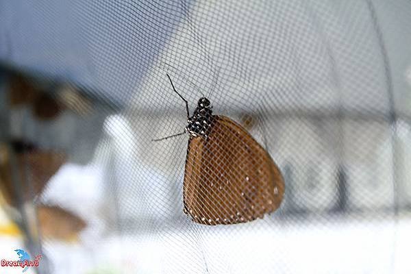 IMG_7590.jpg
