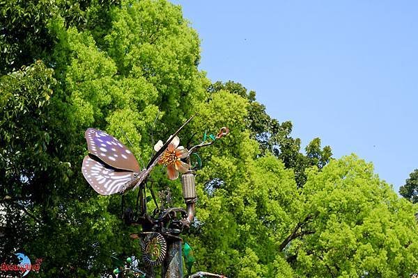 IMG_7524.jpg