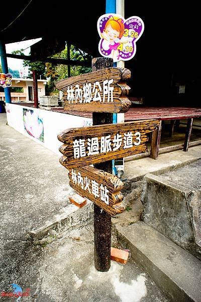 DSC08275.jpg