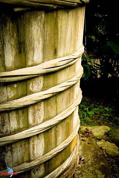 DPP_01072.JPG