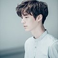 2016年春裝桌布