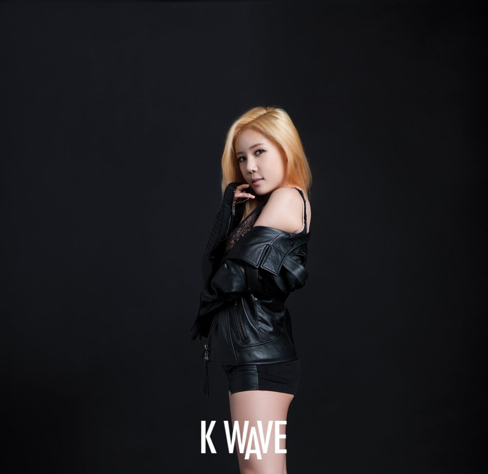 [K Wave] 2014年1月 (Secret) 