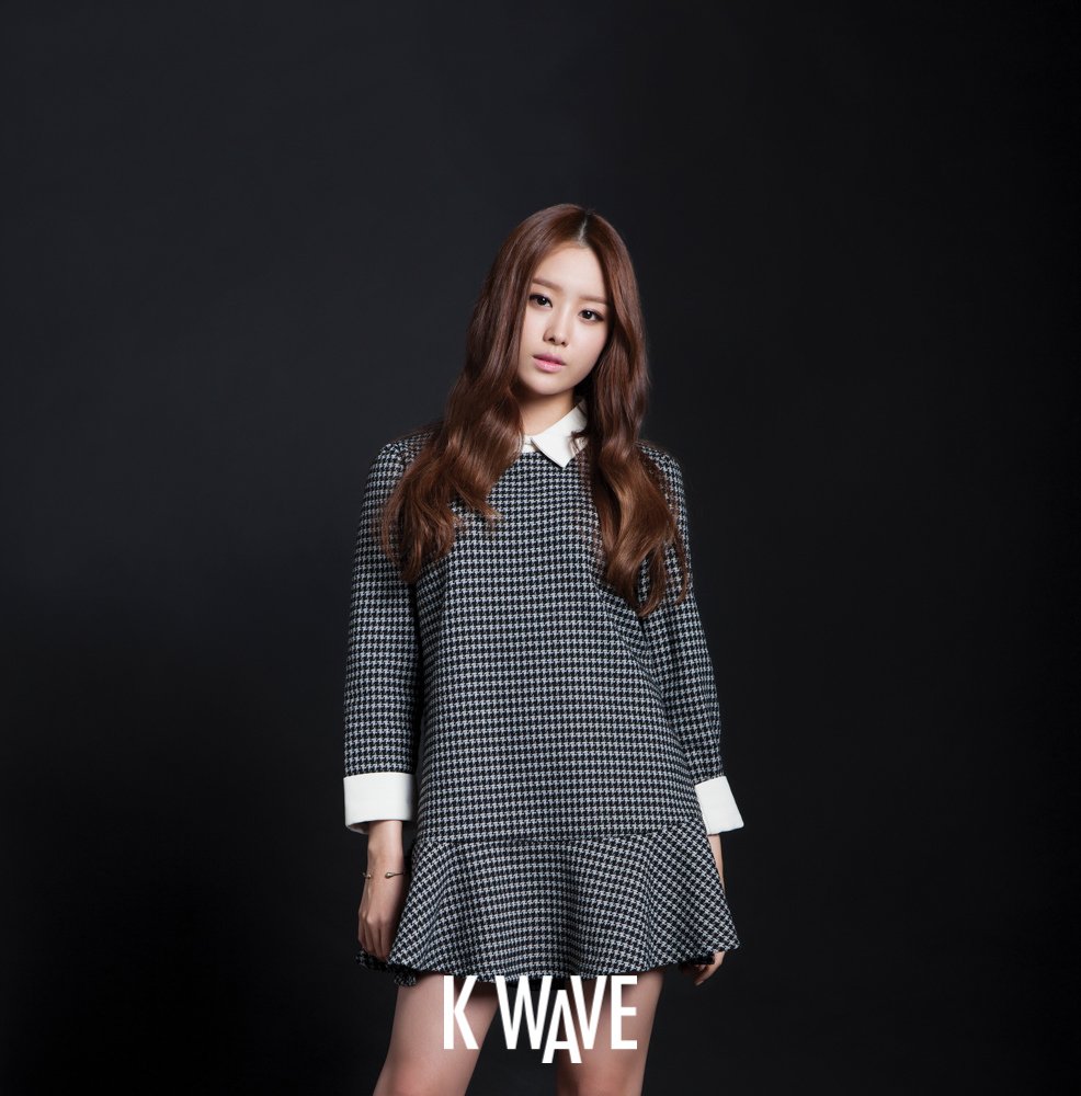 [K Wave] 2014年1月 (Secret) 