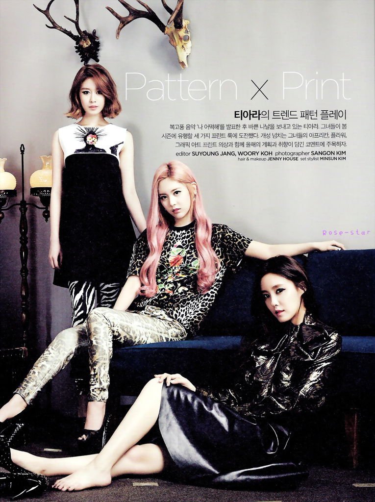 [TheCelebrity] 2014年2月 (T-Ara)