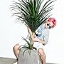 2016年夏裝
