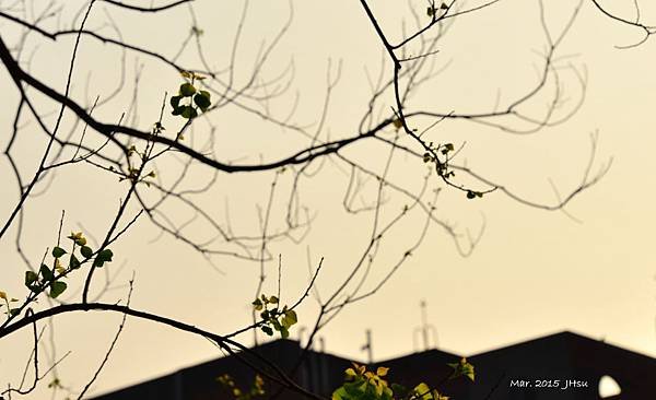 HSU_7818-1.jpg
